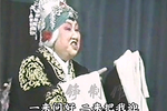 对花枪 南营 选段
