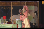 双错遗恨 选段 中集