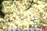 罗成算卦