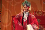 杨门女将 全集下载