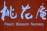 桃花庵下载