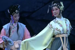 绣球记 全集下载