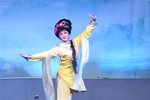 天之娇女 全集下载