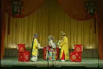双错遗恨 全集下载