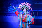 春草闯堂 全集下载