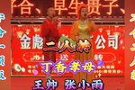 丁香孝母下载