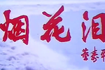 烟花泪 全集下载
